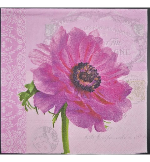 Serviette Gerbera pink/Hintergrund rosa