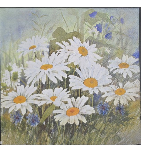 Serviette Margeriten Wiese/mit blauen Blumen