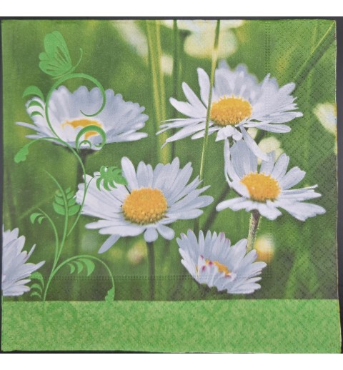 Serviette Hintergrund grün/Margeriten Wiese