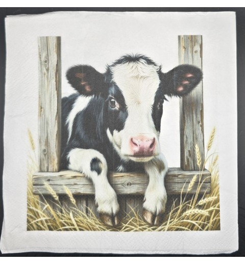Serviette Kalb s/w schaut aus Stall liegend