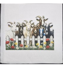 Serviette Ziegen hinter weissem Gartenzaun/Blumen