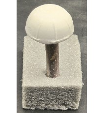 Mini Pilz  Raysin weiss