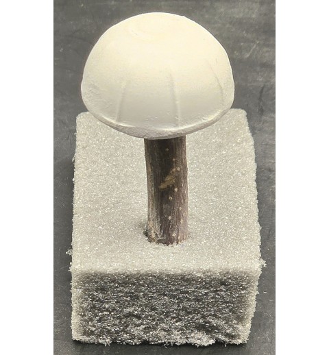 Mini Pilz  Raysin weiss