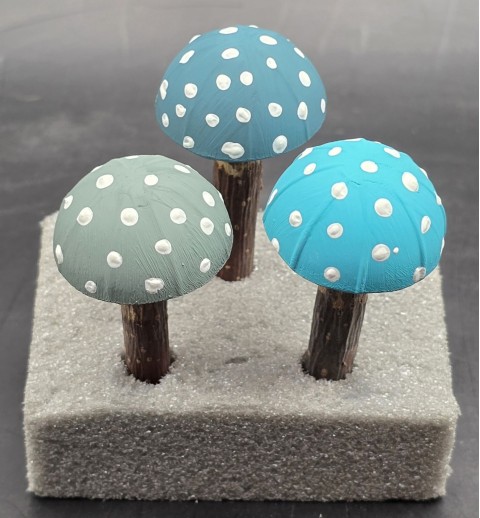 Pilze Dreier Set türkis