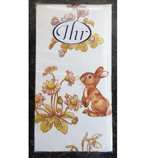 Taschentücher Hase