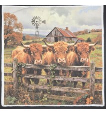 Serviette Hochlandrinder hinterm Zaun/Wiese/Haus