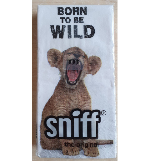 Taschentücher Löwenbaby