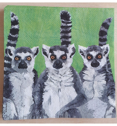 Serviette Kattas