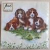 Servietten Hunde
