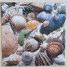 Servietten bunte Muscheln