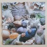 Servietten bunte Muscheln