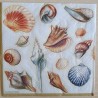 Servietten Muscheln