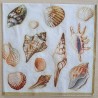 Servietten Muscheln