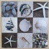 Servietten Muscheln