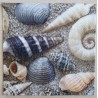 Servietten Muscheln