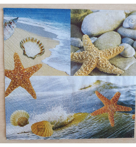 Servietten Seestern/Muscheln