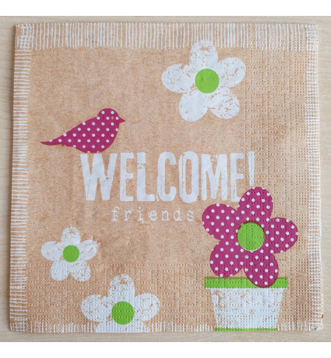 Servietten Welcome friends
