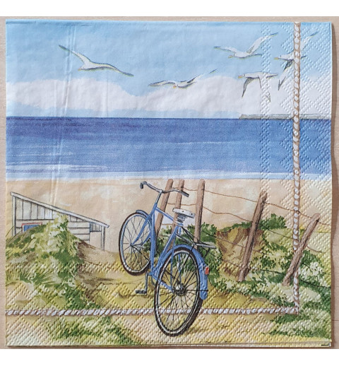 Servietten Fahrrad/Strand