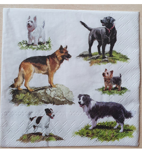 Servietten verschiedene Hunde