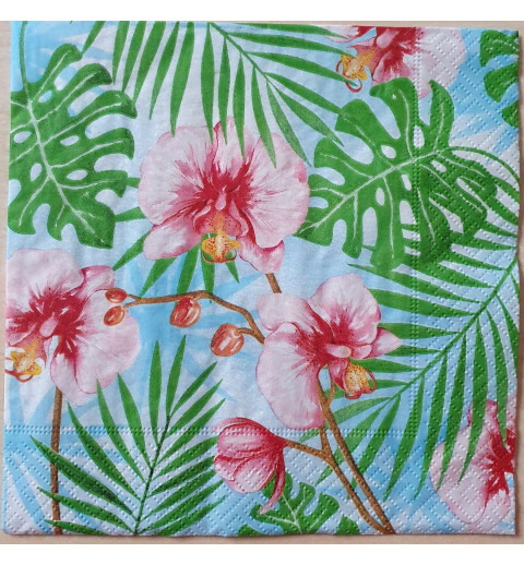 Servietten Orchideen
