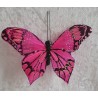 Schmetterling pink