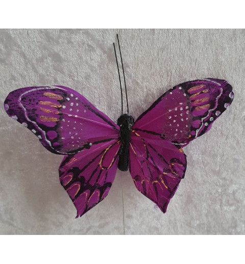 Schmetterling violette