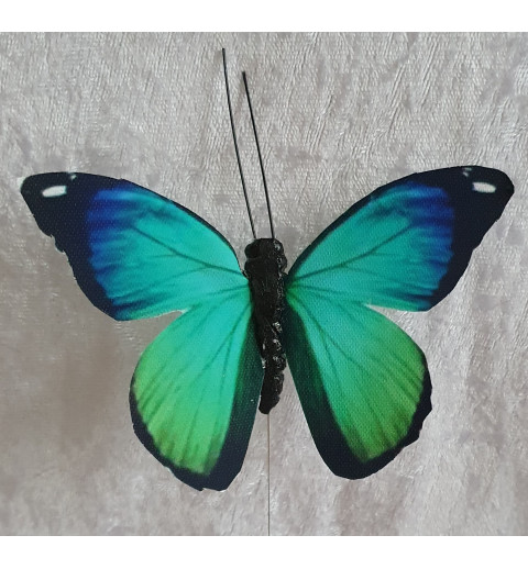 Schmetterling blau/türkis
