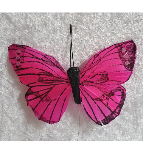 Schmetterling pink
