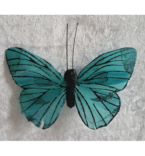 Schmetterling türkis