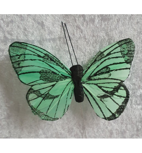 Schmetterling mint