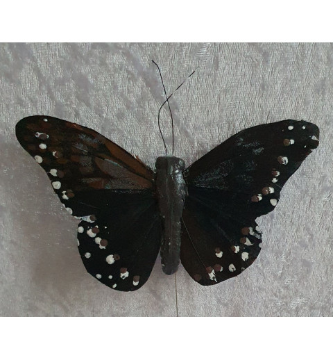 Schmetterling schwarz/braun
