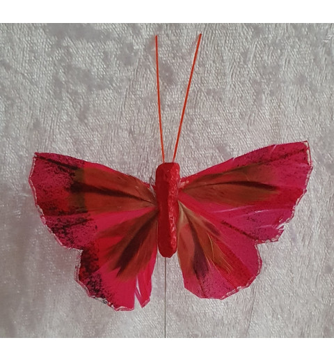 Schmetterling pink