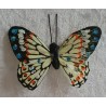 Schmetterling gelb