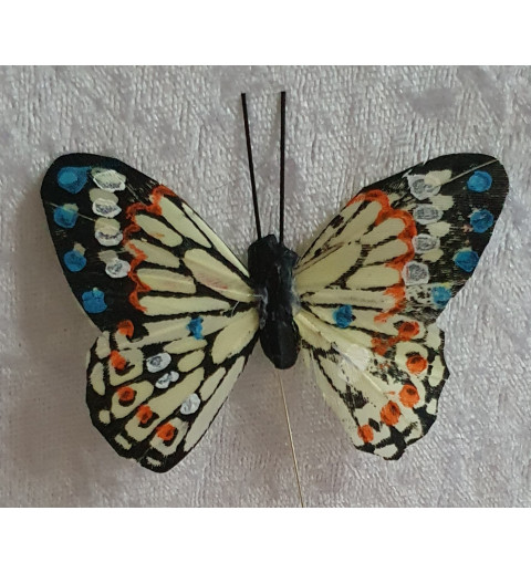 Schmetterling gelb