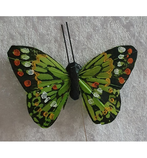 Schmetterling grün
