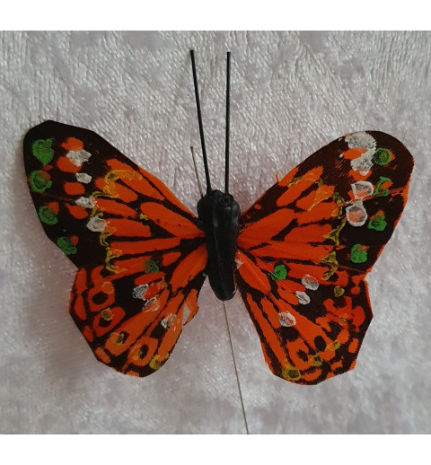 Schmetterling orange