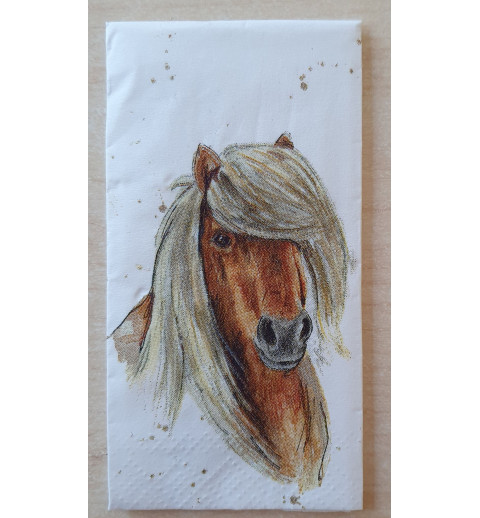 Taschentücher Pferd