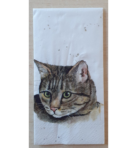 Taschentücher Katze