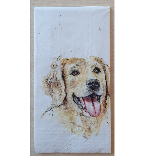 Taschentücher Golden Retriever