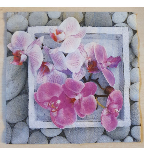 Serviette Orchideen