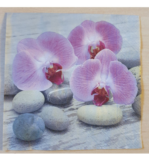 Serviette Orchideen