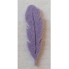 Filz Feder mauve