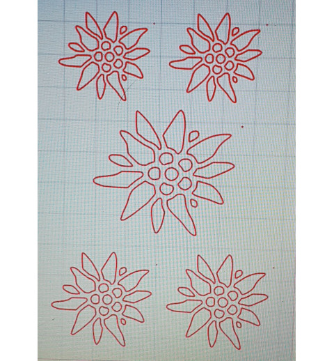 Schablone Edelweiss 2