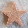 Glitter Stern Lachs