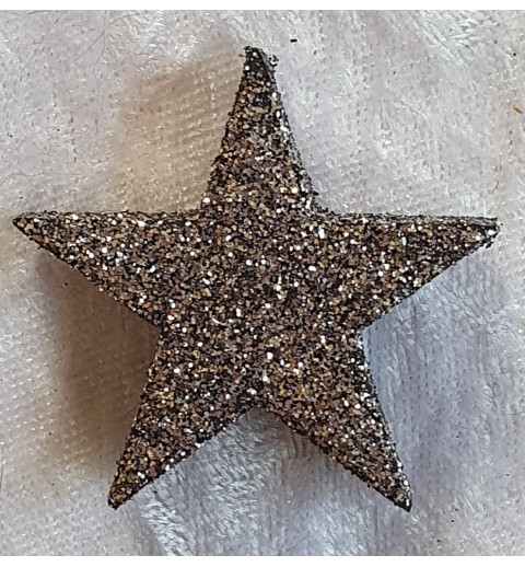 Glitter Stern Silber