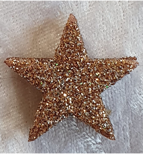 Glitter Stern Braun