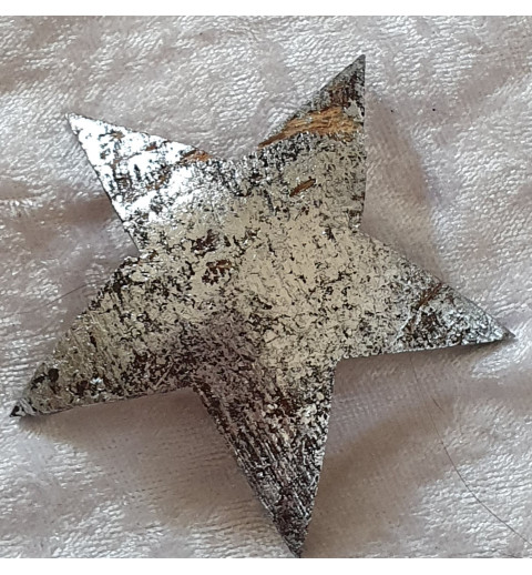 Kokos Stern silber