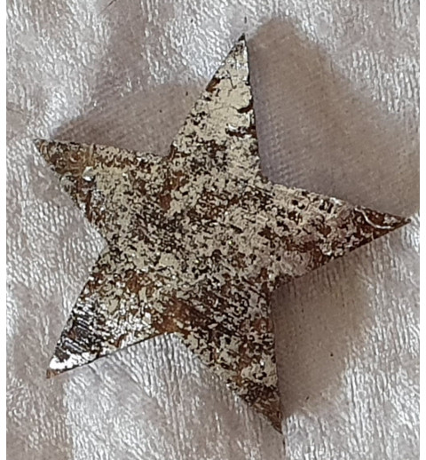 Kokos Stern silber
