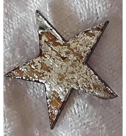 Kokos Stern silber