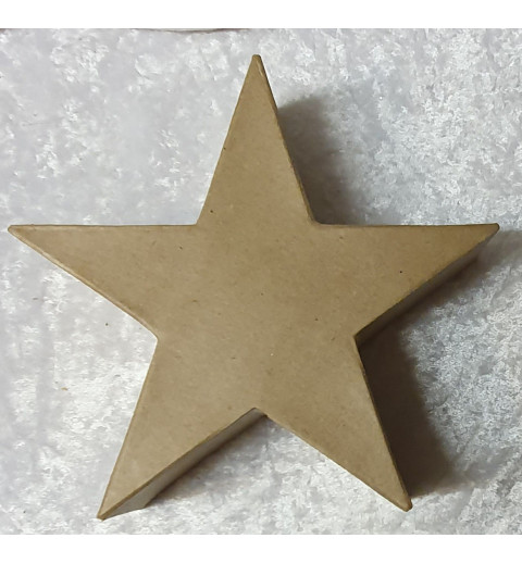 Pappmache Stern